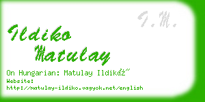 ildiko matulay business card